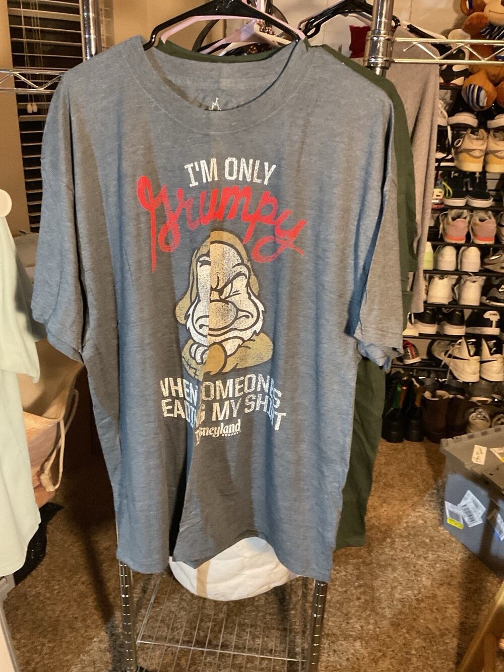 Hanes Disney Grumpy XL Gray T-Shirt Disneyland Resort Unisex Adult